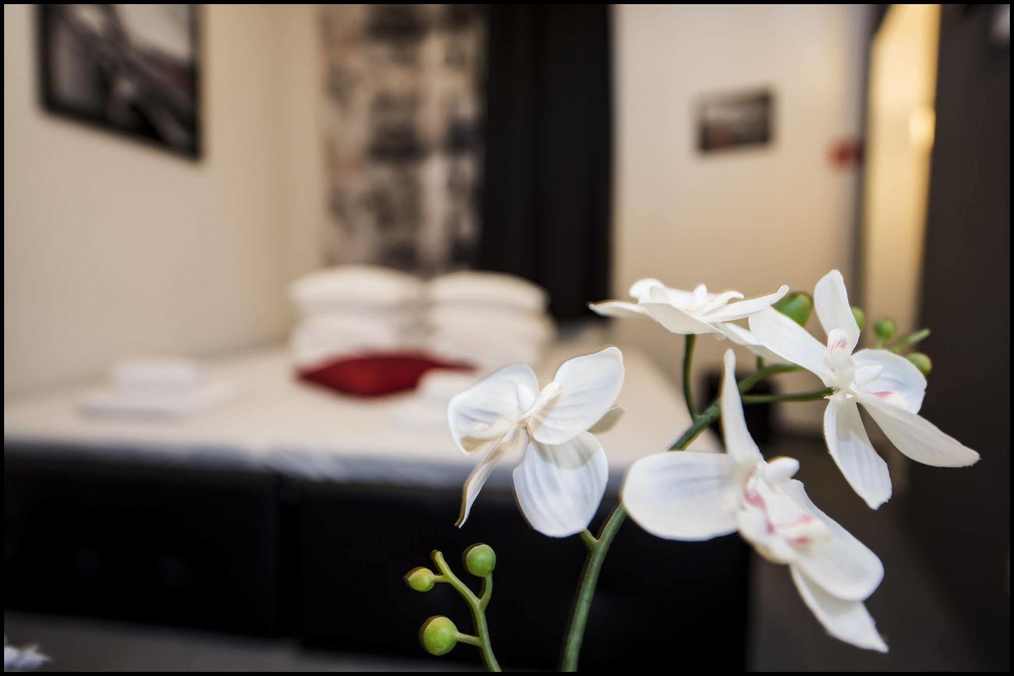 Apartament Z Jacuzzi Krakow Rynek Dış mekan fotoğraf
